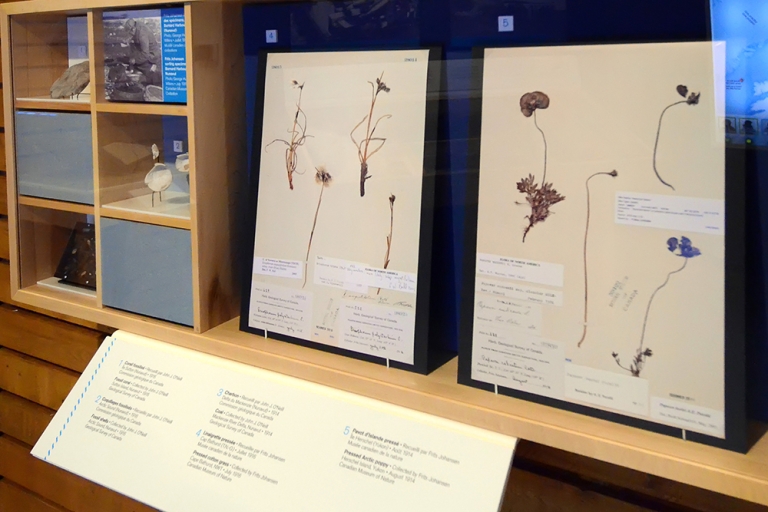Artéfacts naturels provenant de l’expédition polaire canadienne de 1913 à 1918, exposition  « Expédition : l’Arctique », 2013.