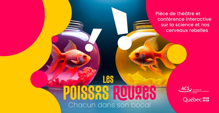 Les poissons rouges - visuel officiel