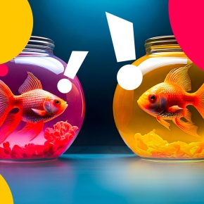 Les poissons rouges : chacun dans son bocal